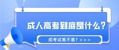安博手机版app